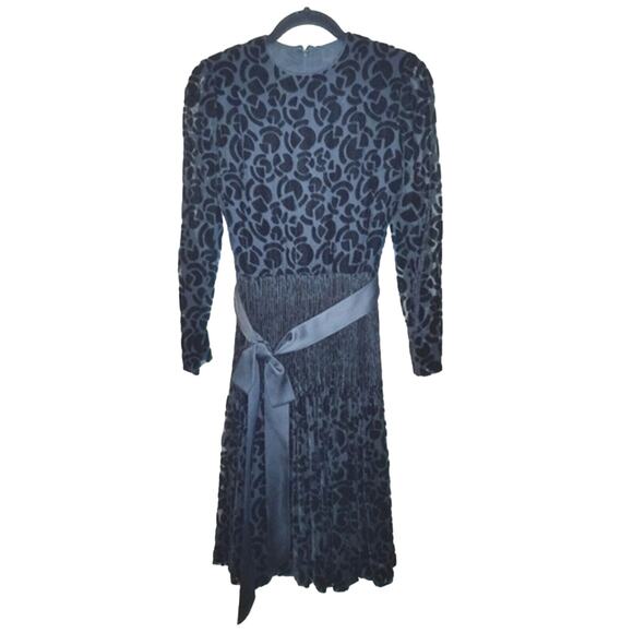 Miss Dior Collection Sheer Velour Pleated Whimsigoth Dress 60-70's Wednesday - Picture 2 of 10